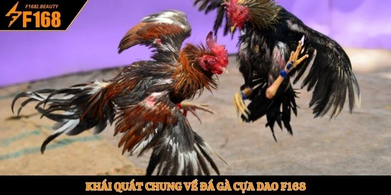 Đá Gà Cựa Dao - Sân Chơi Kịch Tính Tại Nhà Cái F168 - Prosper69