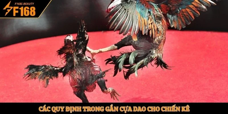 Đá Gà Cựa Dao - Sân Chơi Kịch Tính Tại Nhà Cái F168 - Prosper69