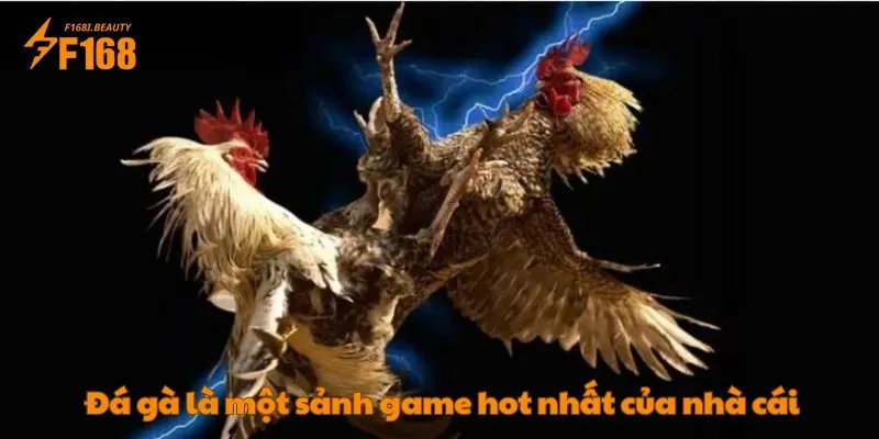 Đá Gà Tại F168: Địa Chỉ Hàng Đầu Kê Thủ Không Thể Bỏ Lỡ - Prosper69